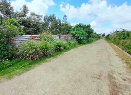 Bán đất cách ql20 100m tại di linh, lâm đồng. dt 1168.5m2, thổ cư 100m2, đường nhựa 8m