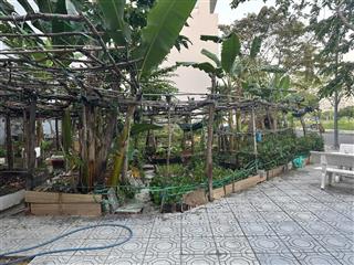 Lô góc 2 mặt đường t22 kề chung cư ct1 kđt an bình tân dt 131m2 ngang 7m