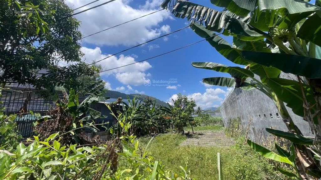 Đất mặt tiền trần đăng ninh phước đồng dt 213m2 ngang 6m full thổ cư