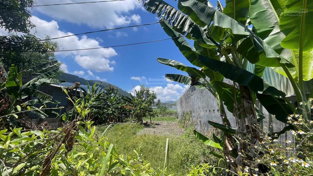 Đất mặt tiền trần đăng ninh phước đồng dt 213m2 ngang 6m full thổ cư