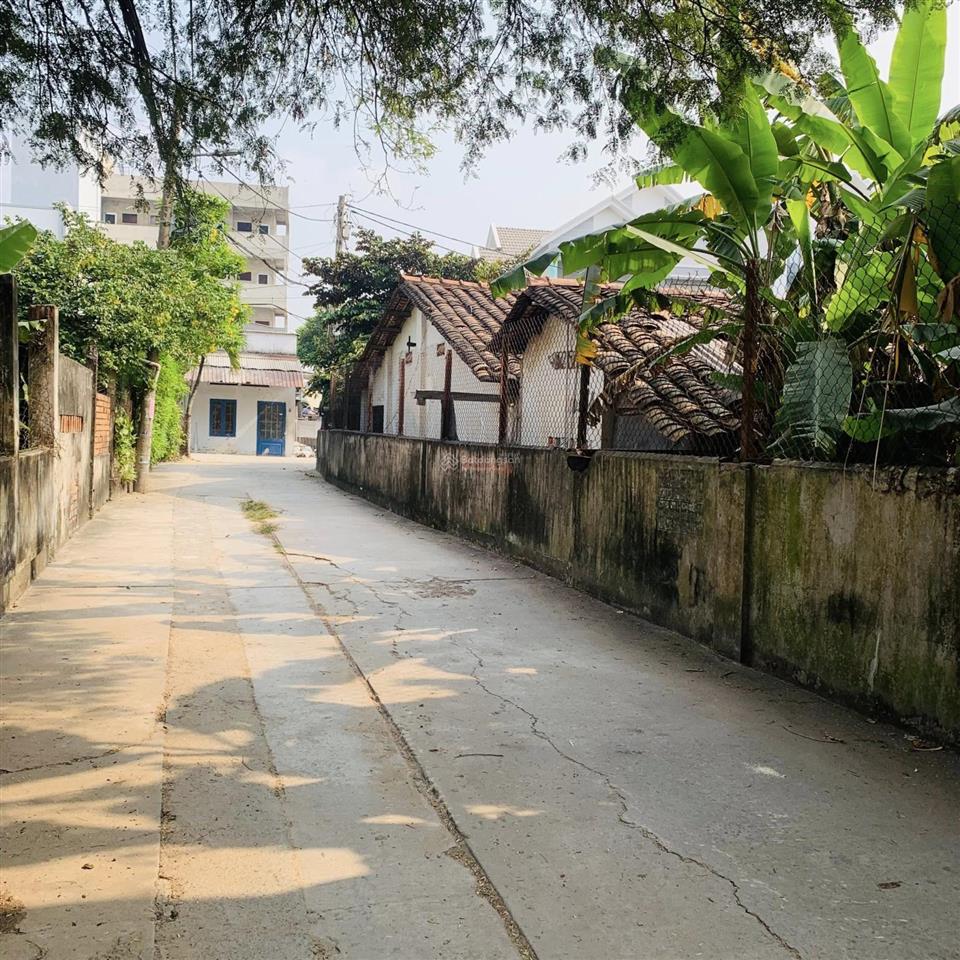 Hàng hiếm phan văn đối  đất dt lớn 420m2  full thổ cư giá tốt để đầu tư & phân lô