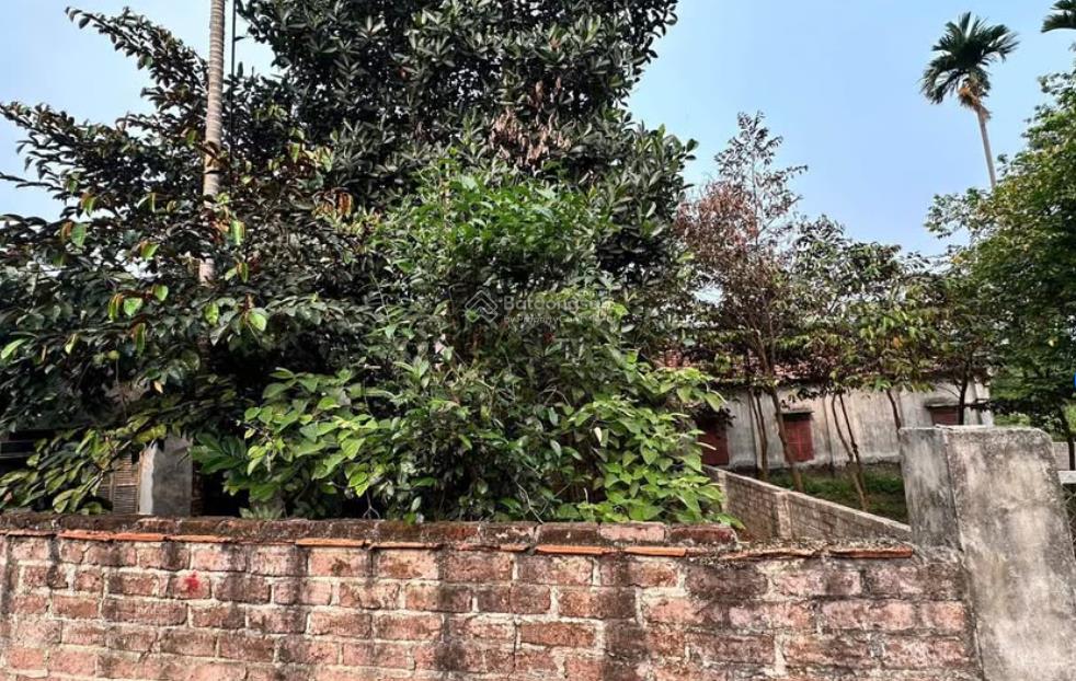 Bán đất tại hữu nghị, cổ đông, sơn tây, hà nội, giá cực chất 1,7 tỷ, 84m2