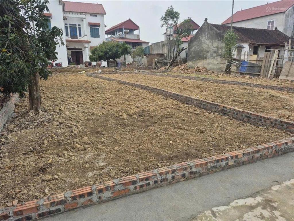 Bán đất tại hạ bằng, 1,99 tỷ, 100m2, pháp lý đầy đủ