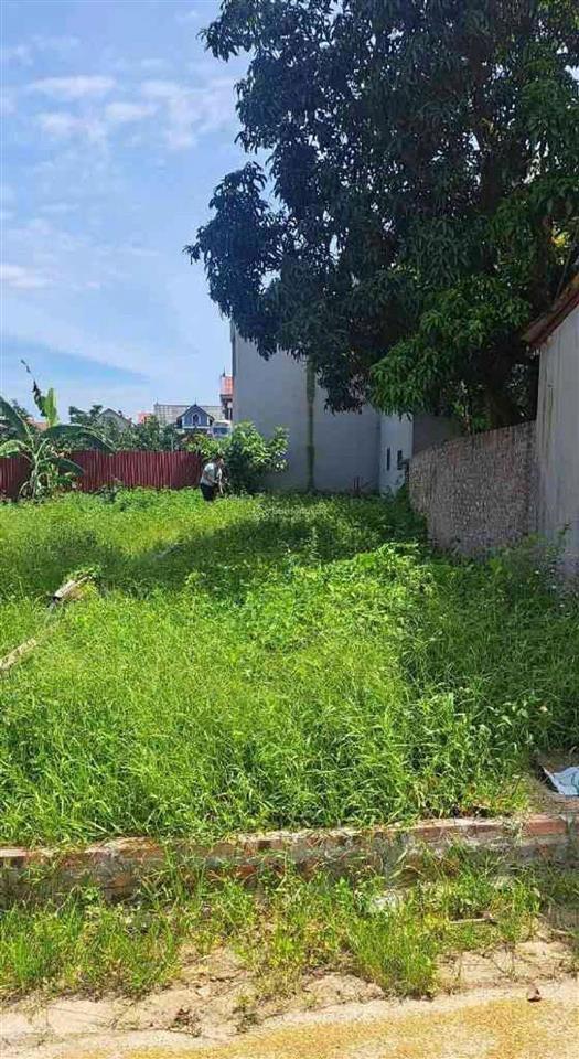 Bán đất tại hữu nghị, 1,99 tỷ, 80m2, mặt tiền 5.5m, pháp lý đầy đủ, ngõ rộng 8m, hot!