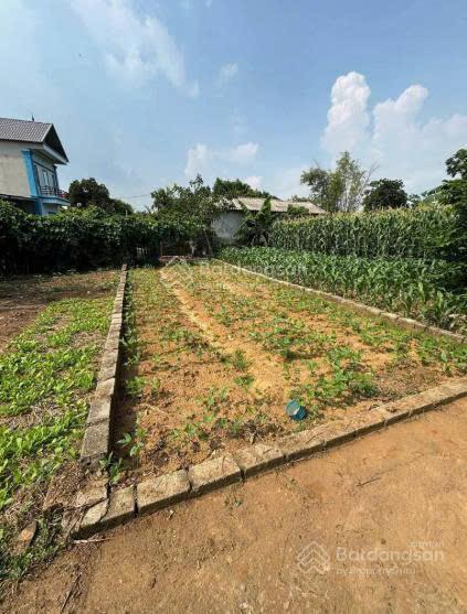 Bán đất tại đường 21, xã hòa thạch, huyện quốc oai, 2 tỷ, 100m2