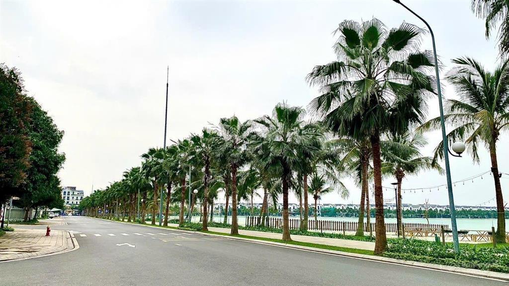 Đơn lập góc 2 mặt tiền view hồ điều hòa 24,5ha tại vinhomes ocean park 1 gia lâm