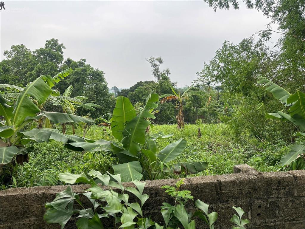 Bán đất thôn đồng âm, xã phú mãn, huyện quốc oai, hà nội