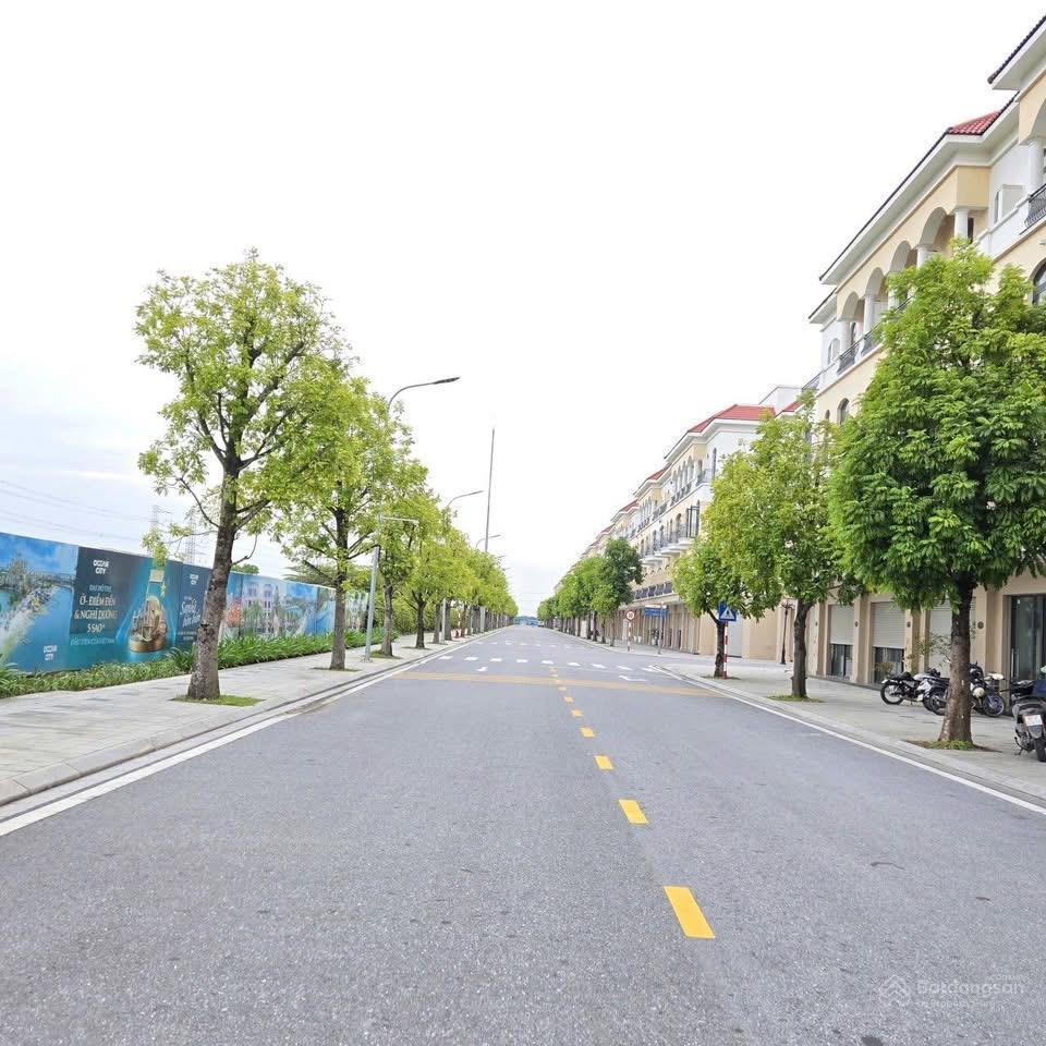 Bán xẻ khe chà là 98m2 đông nam diện tích lớn, giá chỉ 11 tỷ