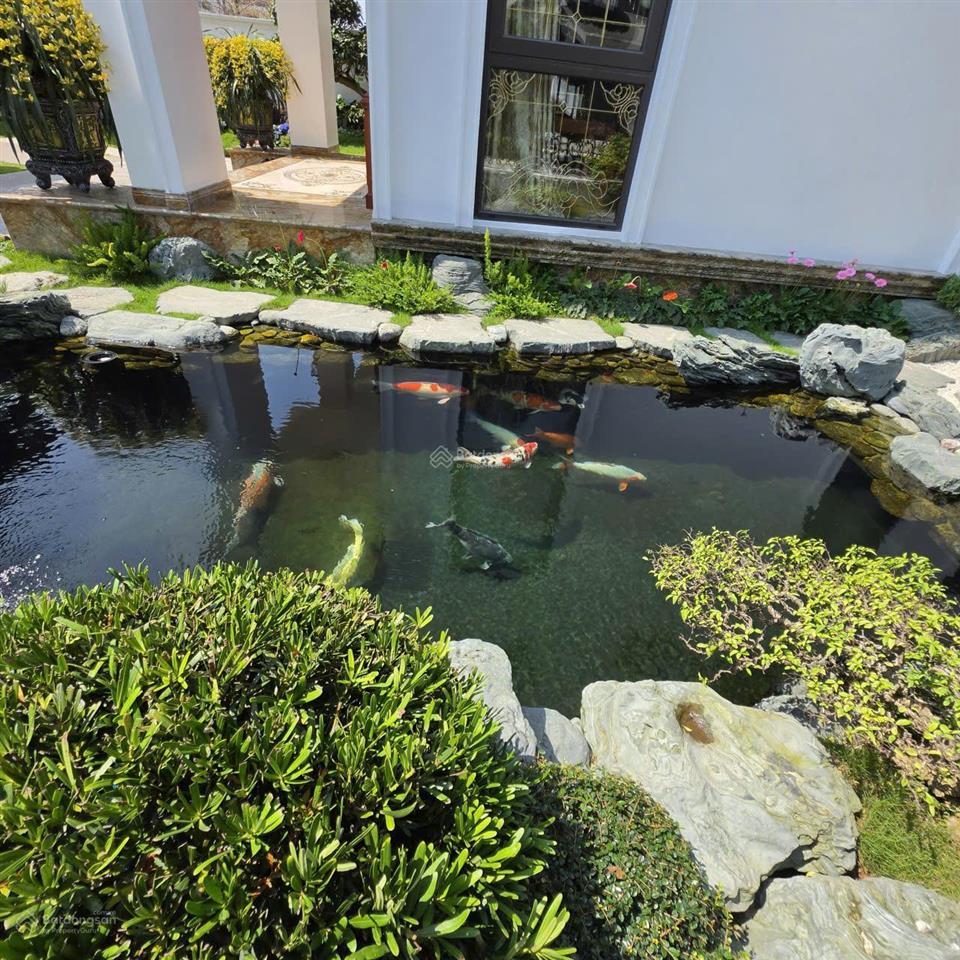 Bán căn biệt thự song lập rẻ hơn thị trường 15%, gần sun group 205ha, cạnh công viên 25ha