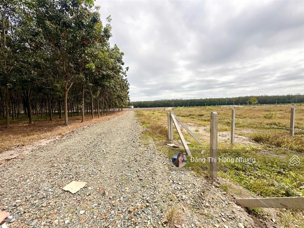 290tr, 5x25m full thổ cư, lộc ninh, tây ninh, đường 6m thông
