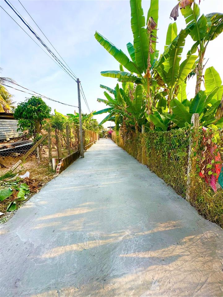 490tr, gần bên ủy ban phường gia lộc 5x18m có thổ cư đường bê tông