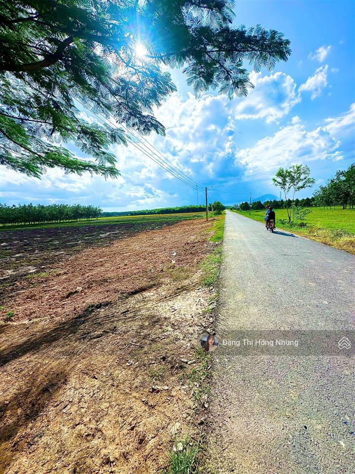 450tr, đường nhựa 6m thông truông mít, tây ninh, 5x34m thổ cư