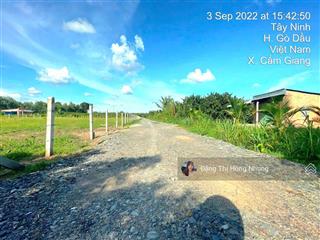 240tr, cẩm giang đường ôtô 7x20m full thổ, dân đông, ko mồ mả