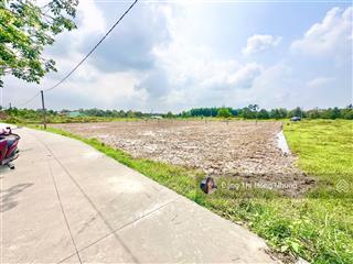 330tr, rẻ cất nhà cây da sát bên dự án kcn hiệp thạnh 139m2 có 135,4m2 thổ cư đường bê tông