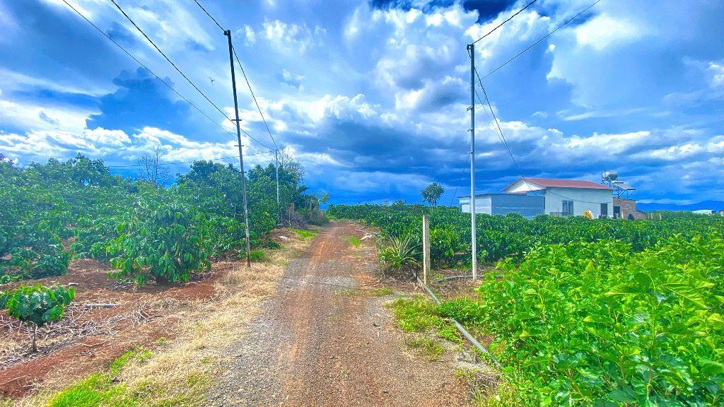 Đất hẻm thông ra ĐT 724, tân hội, đức trọng cũ, lâm đồng