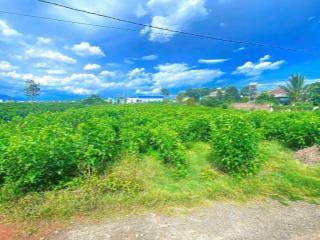 Đất hẻm thông ra ĐT 724, tân hội, đức trọng cũ, lâm đồng