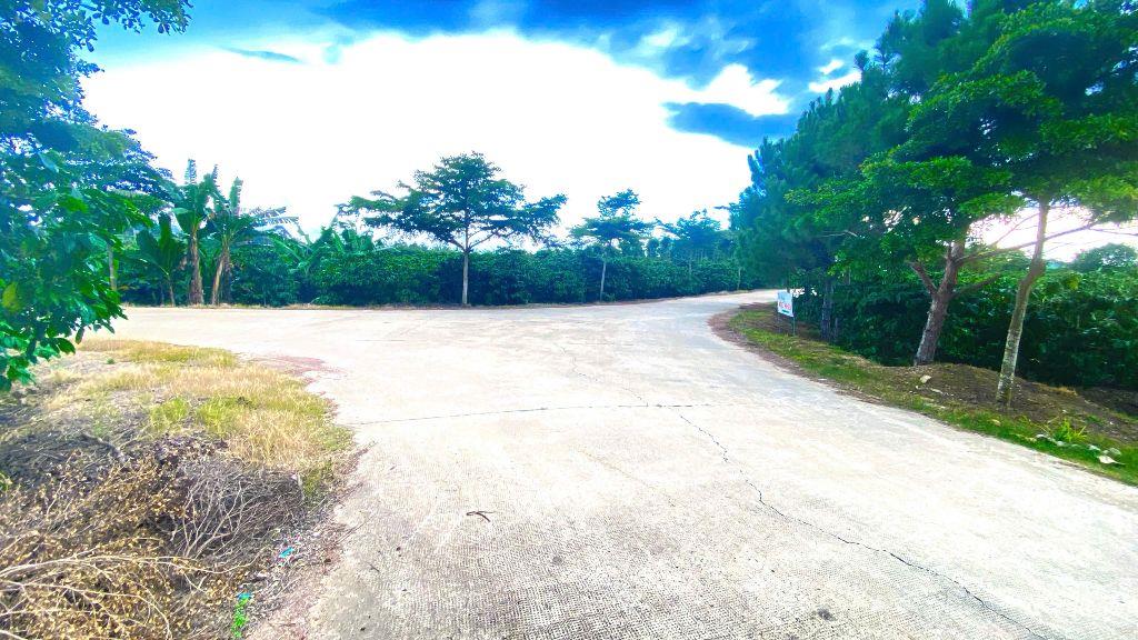 2 sào đất 2 mặt hẻm rộng, gần trung tâm ninh gia, đức trọng cũ, lâm đồng