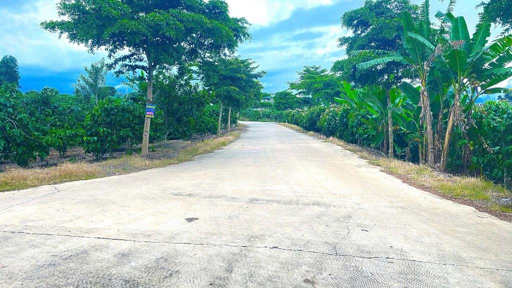 2 sào đất 2 mặt hẻm rộng, gần trung tâm ninh gia, đức trọng cũ, lâm đồng
