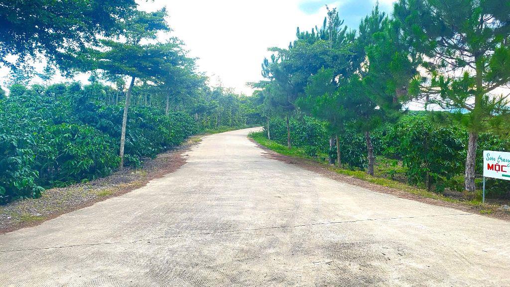 2 sào đất 2 mặt hẻm rộng, gần trung tâm ninh gia, đức trọng cũ, lâm đồng