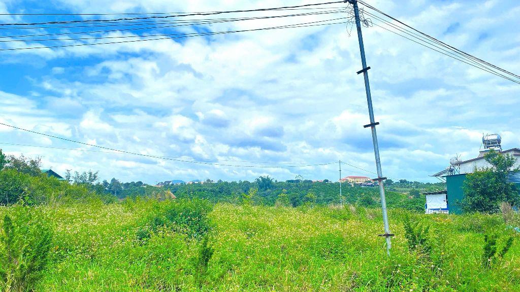 Hẻm ql27, cây số 5, n'thôn hạ, đức trọng cũ, lâm đồng
