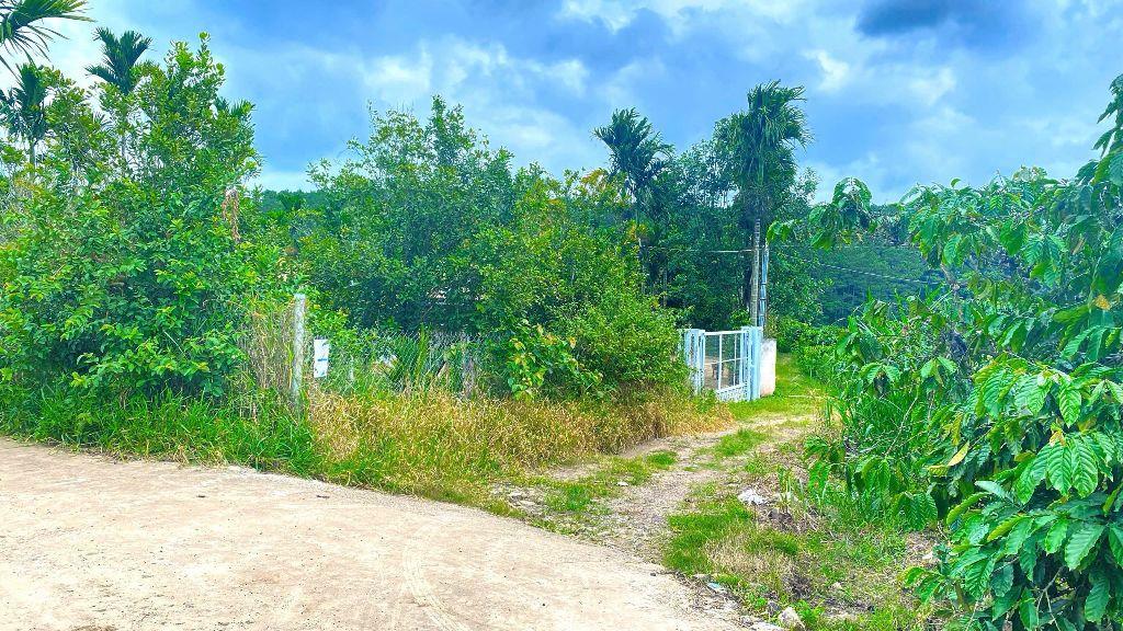 Hẻm ql27, cây số 5, n'thôn hạ, đức trọng cũ, lâm đồng