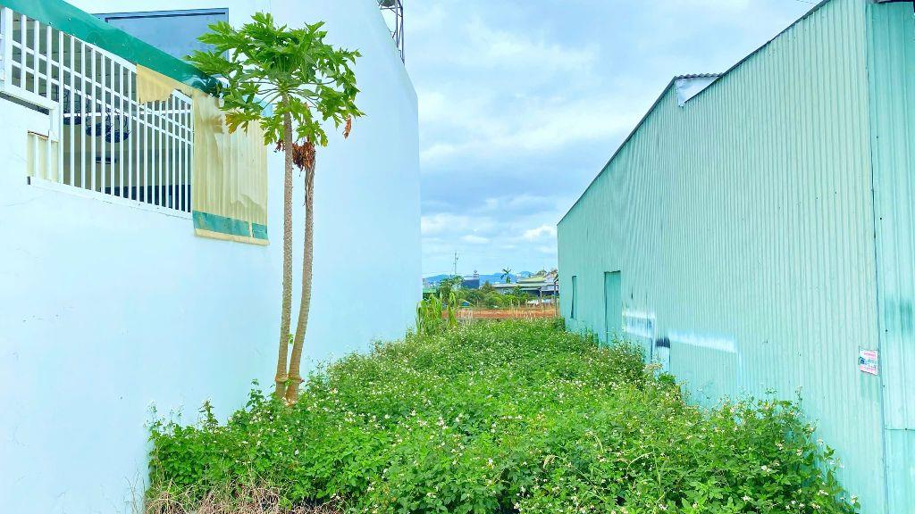 Đất phân lô trung tâm đức trọng - sau làng bà cọ, chỉ nhỉnh tỷ