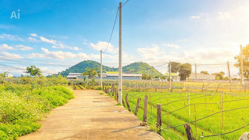 Đất kỹ sen 3, hẻm DT 724 - đức trọng, lâm đồng