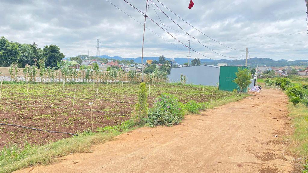 Đất phú hội cũ, đức trọng, lâm đồng, gần gara oto lương thành quốc