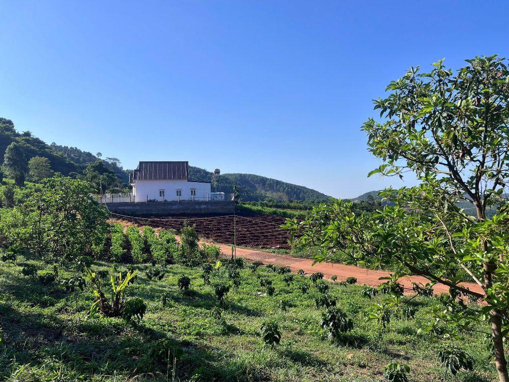 Đất nghỉ dưỡng - view cực chill - hẻm ba đình, nam ban, lâm hà, lâm đồng
