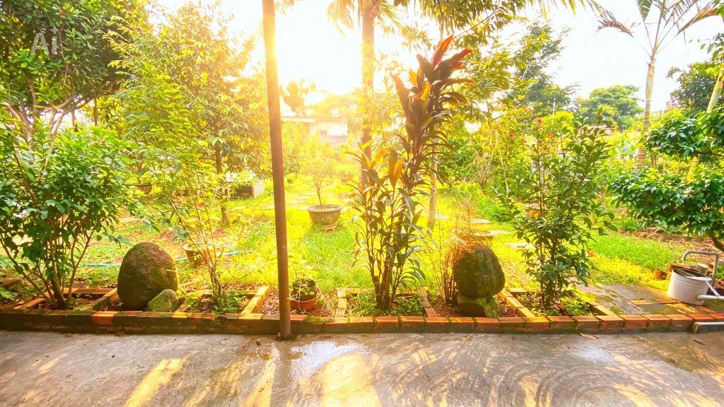 Nhà thuộc phú hội cũ - đức trọng / lâm đồng – khu dân cư