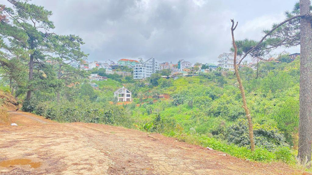 E đang có 8.000m2 hẻm khe sanh, p10 - đà lạt, lâm đồng