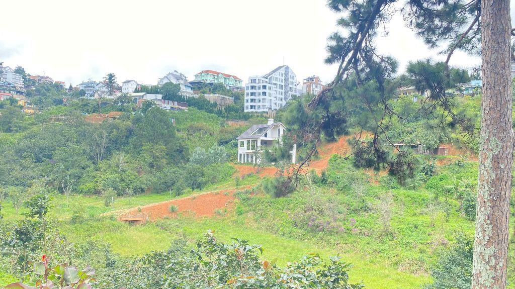 E đang có 8.000m2 hẻm khe sanh, p10 - đà lạt, lâm đồng