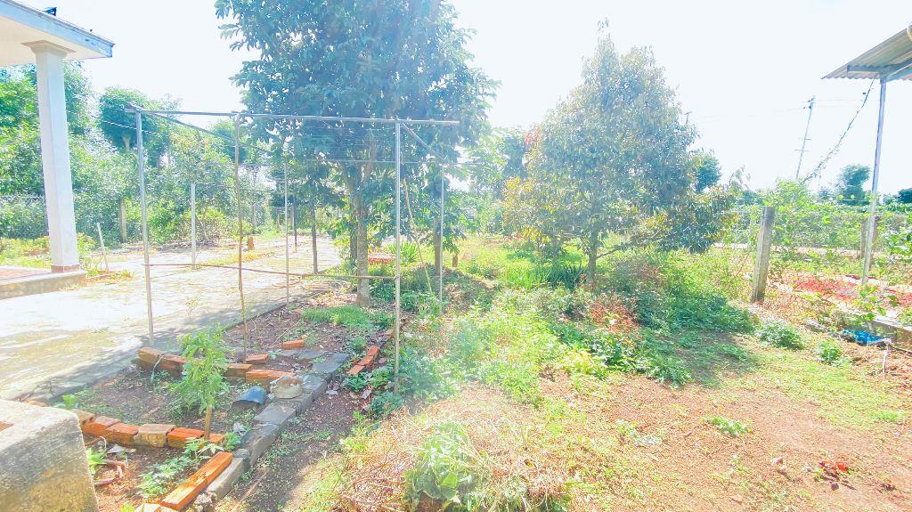 Bán 675m2 đất hẻm thuộc phú bình phú hội cũ, đức trọng Lâm Đồng
