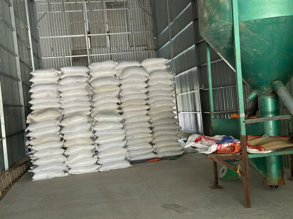[H2650*] Nhà xưởng mặt tiền Thanh Niên Hóc Môn – Sân xe tải rộng, giá 10.x tỷ