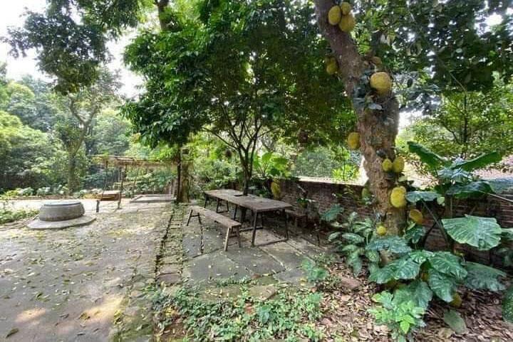 [H2679*] NHÀ VƯỜN DIỆN TÍCH KHỦNG 2247M2 SÁT KCX LINH TRUNG 3 - GIÁ 7.x TỶ