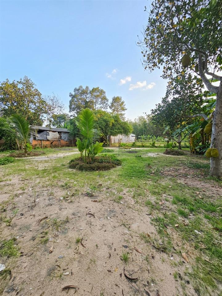 [H2974] Đất MT 2700m2 Bùi Thị Điệt Nhuận Đức Củ Chi Ngay Chợ Phạm Văn Cội, Giá 2x Tỷ