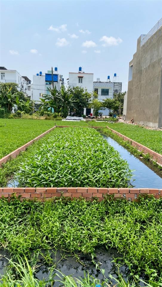 [K2580*] Đất vuông vức 100m2 hẻm xe hơi sát chợ Thạnh Xuân, giá đầu tư cực rẻ 2.x tỷ!