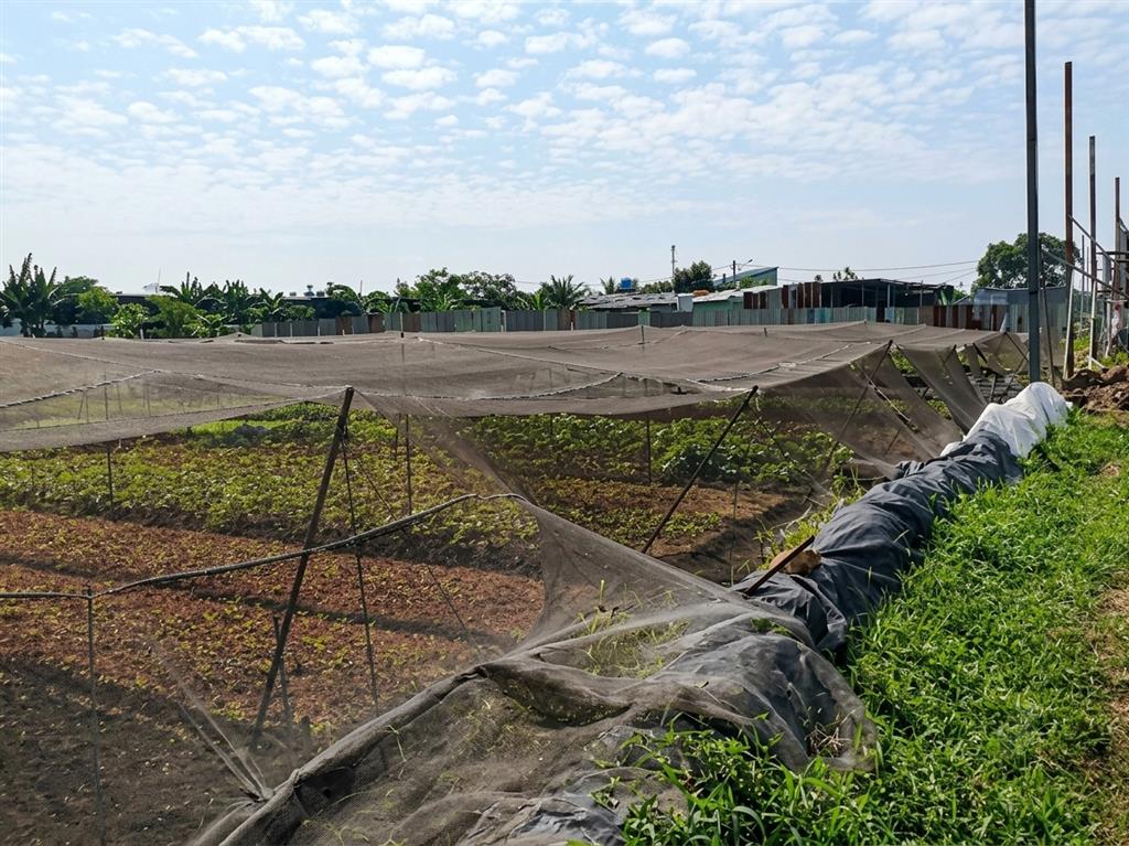 [K2658*] Cơ hội hiếm! 3710m2 đất diện tích lớn sát KCN Vĩnh Lộc A, giá chỉ 29.x tỷ