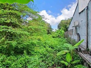 [K2976*] Đất M.Tiền Tỉnh Lộ 7 An Nhơn Tây 1411m2 Có T.Cư Làm Nhà Vườn Đỉnh, Giá 9.x Tỷ