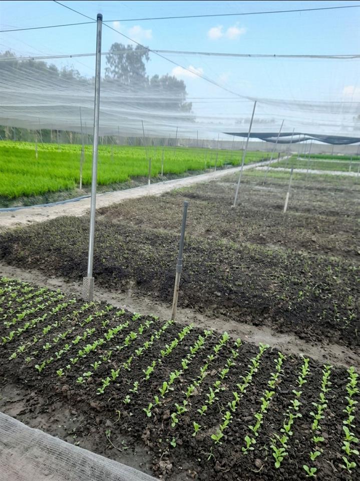 [T2680*] CƠ HỘI ĐẦU TƯ TRANG TRẠI THU NHẬP 200TR/THÁNG SÁT BV AN NHƠN TÂY - GIÁ 15.x TỶ