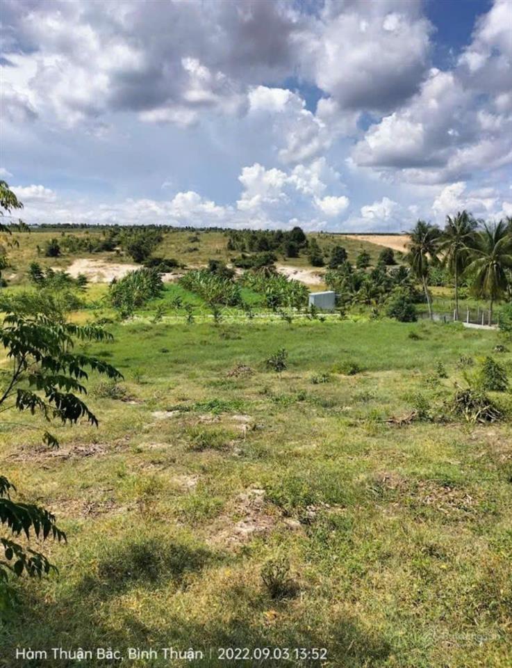 Bán đất 2.981m2 có 100m2 thổ cư 3 mặt tiền đt715 sau lưng sân bay phan thiết giá chỉ 6 tỷ