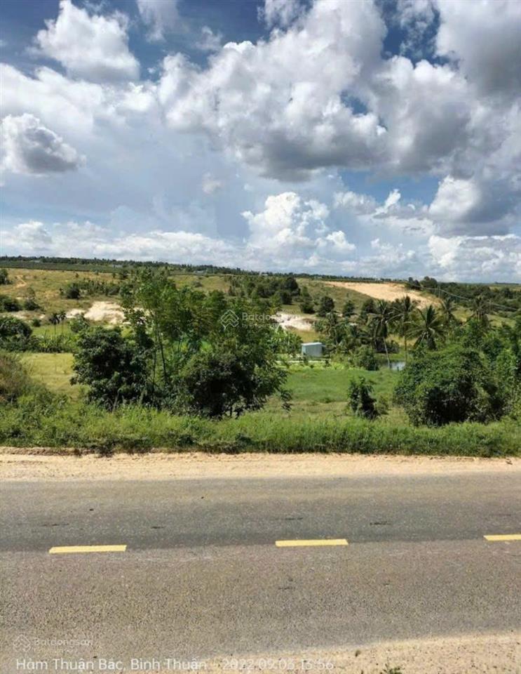Bán đất 2.981m2 có 100m2 thổ cư 3 mặt tiền đt715 sau lưng sân bay phan thiết giá chỉ 6 tỷ