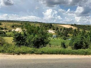 Bán đất 2.981m2 có 100m2 thổ cư 3 mặt tiền đt715 sau lưng sân bay phan thiết giá chỉ 6 tỷ