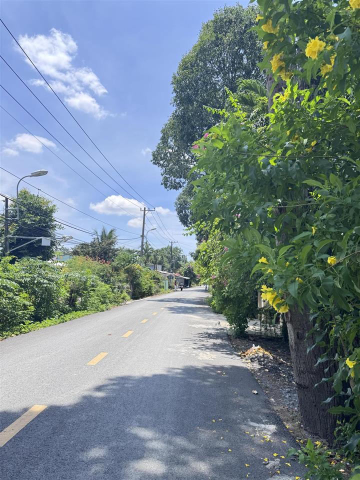 Đất vuông vắn nở hậu tài lộc, mặt tiền đường 20m lý thị chừng giao tỉnh lộ 15