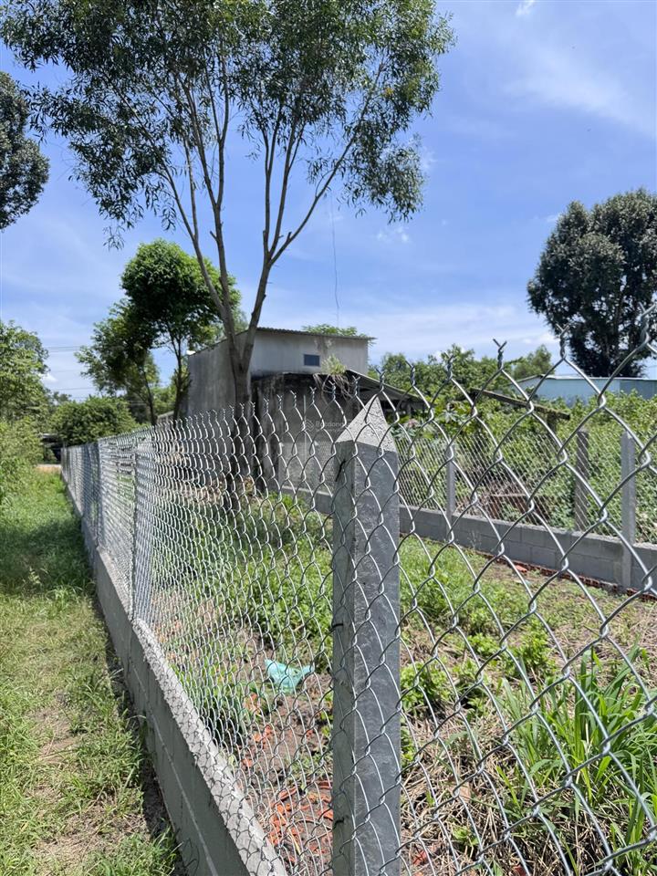 Đất vuông vắn nở hậu tài lộc, mặt tiền đường 20m lý thị chừng giao tỉnh lộ 15