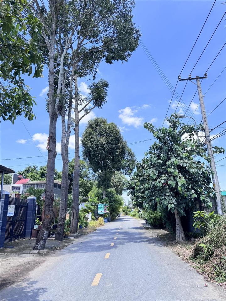 Đất vuông vắn nở hậu tài lộc, mặt tiền đường 20m lý thị chừng giao tỉnh lộ 15