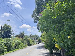 Mặt tiền kinh doanh đường lý thị chừng 20m xã phú hoà đông mới 5m*49m.tổng 241.5m2.thổ cư 100%