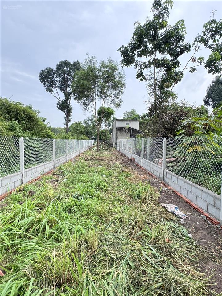 Hạ giá đất thổ cư 241,5m2, sổ vuông nở hậu, xây dựng ngay, qh khu dân cư hiện hữu