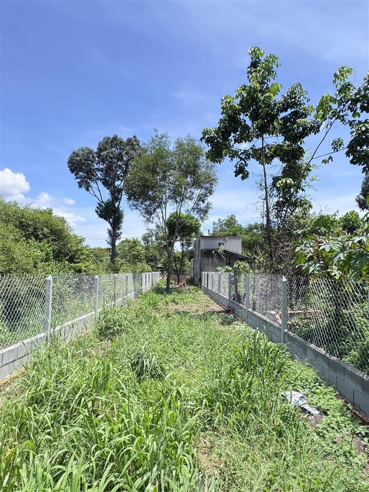 Chính chủ giảm 300tr đất 5x49m thổ cư 100% nở hậu mặt tiền đường 20m lý thị chừng  tỉnh lộ 15