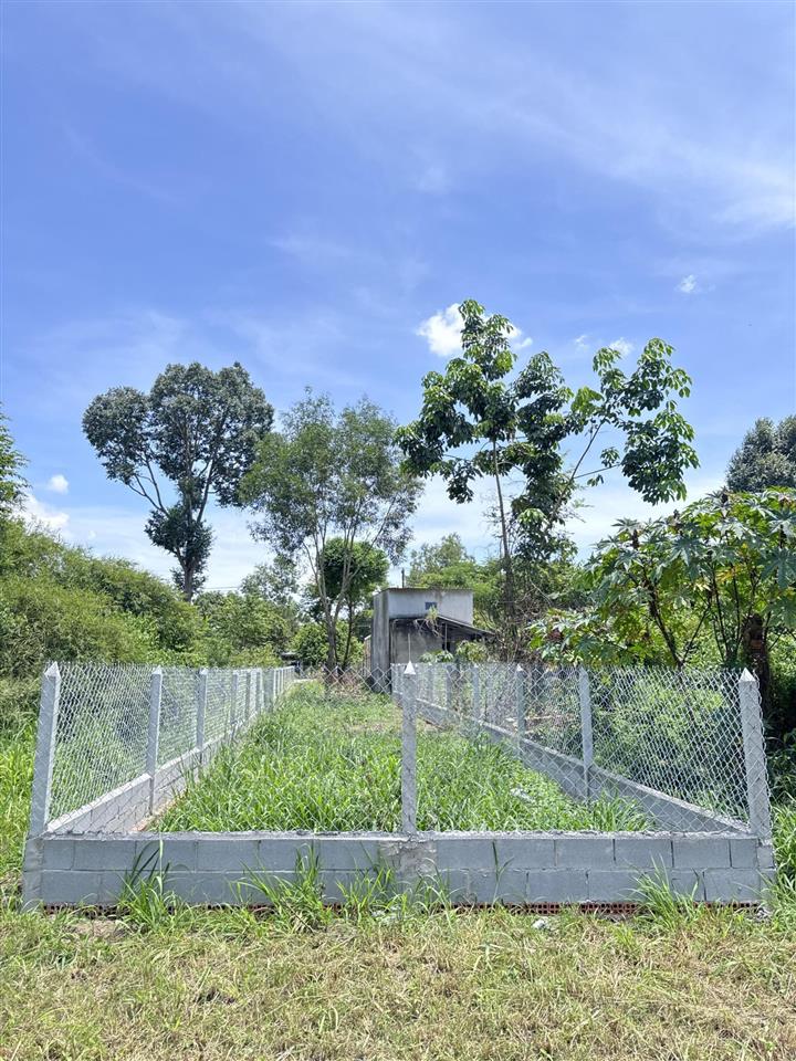 Mặt tiền kinh doanh đường lý thị chừng 20m xã phú hoà đông mới 5x49m. tổng 241.5m2. thổ cư 100%